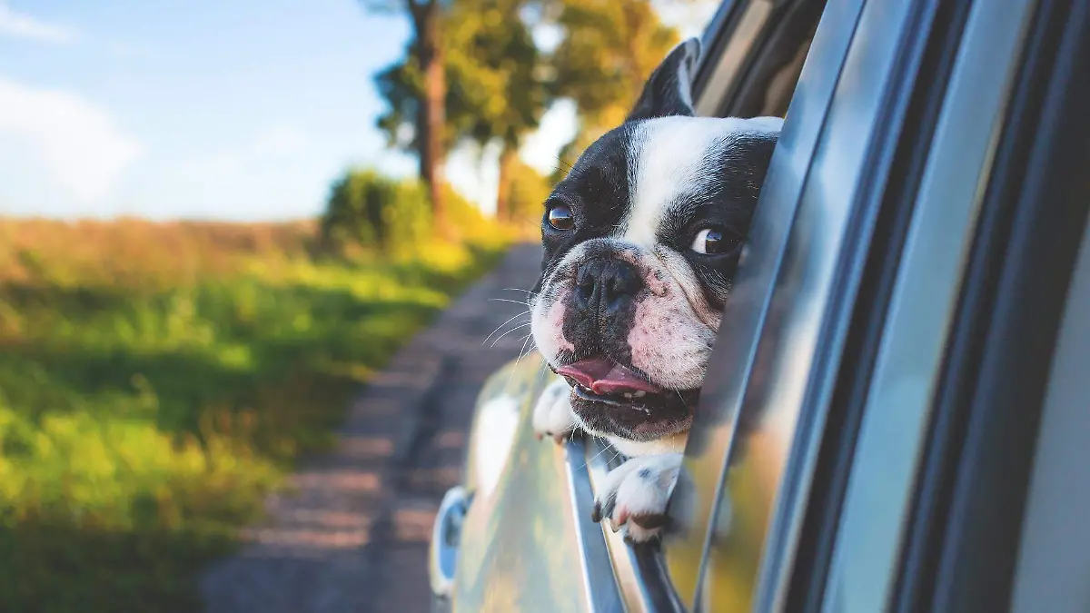 Truco para evitar marearse al viajar en carretera